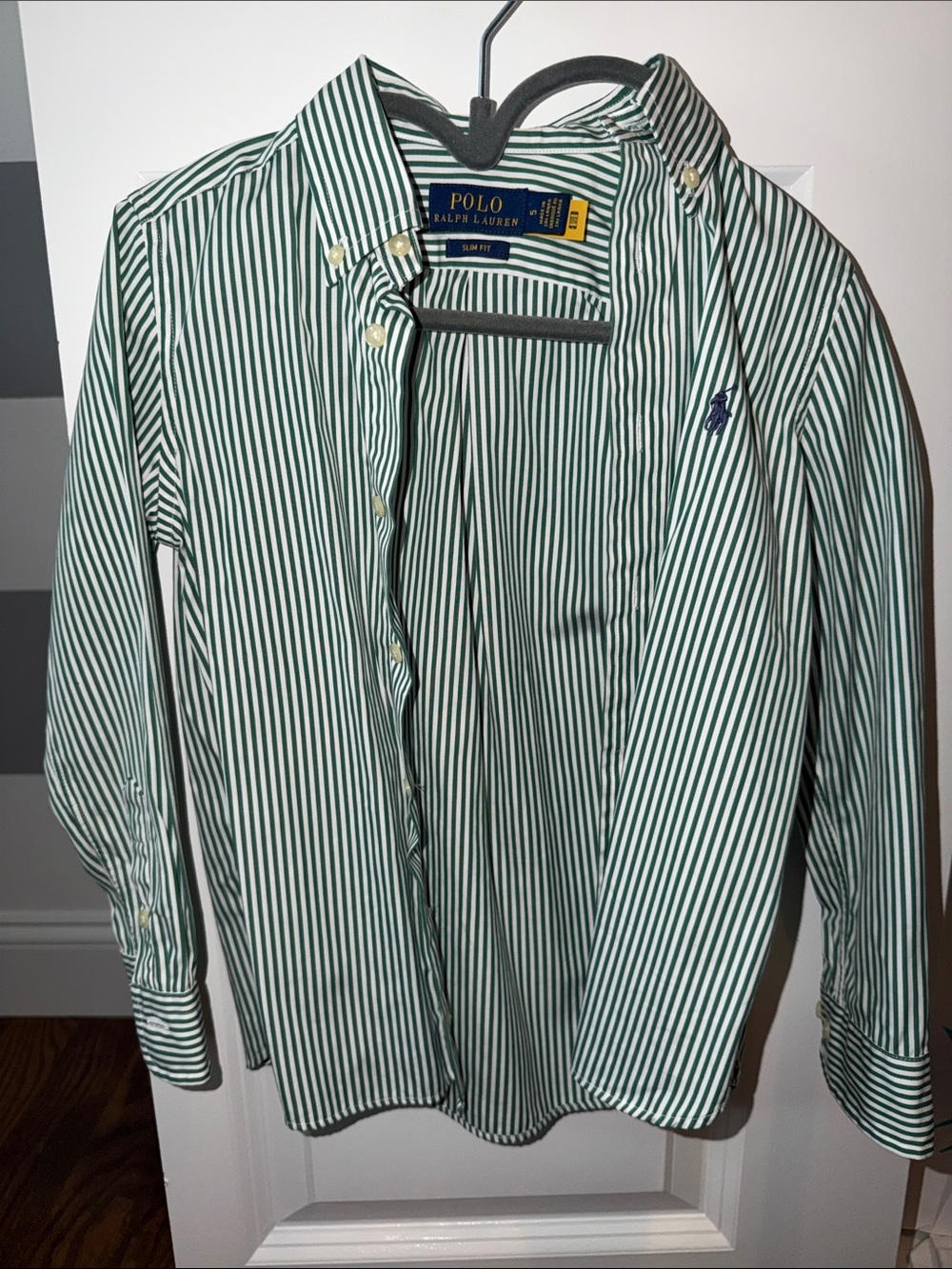 Polo by Ralph Lauren Green and White Striped Button-Down Shirt